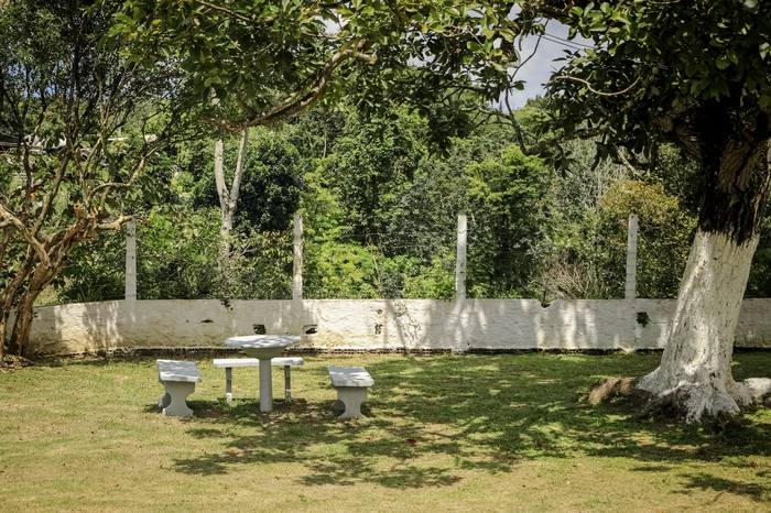 Bancos de concreto à sombra de uma árvore no jardim