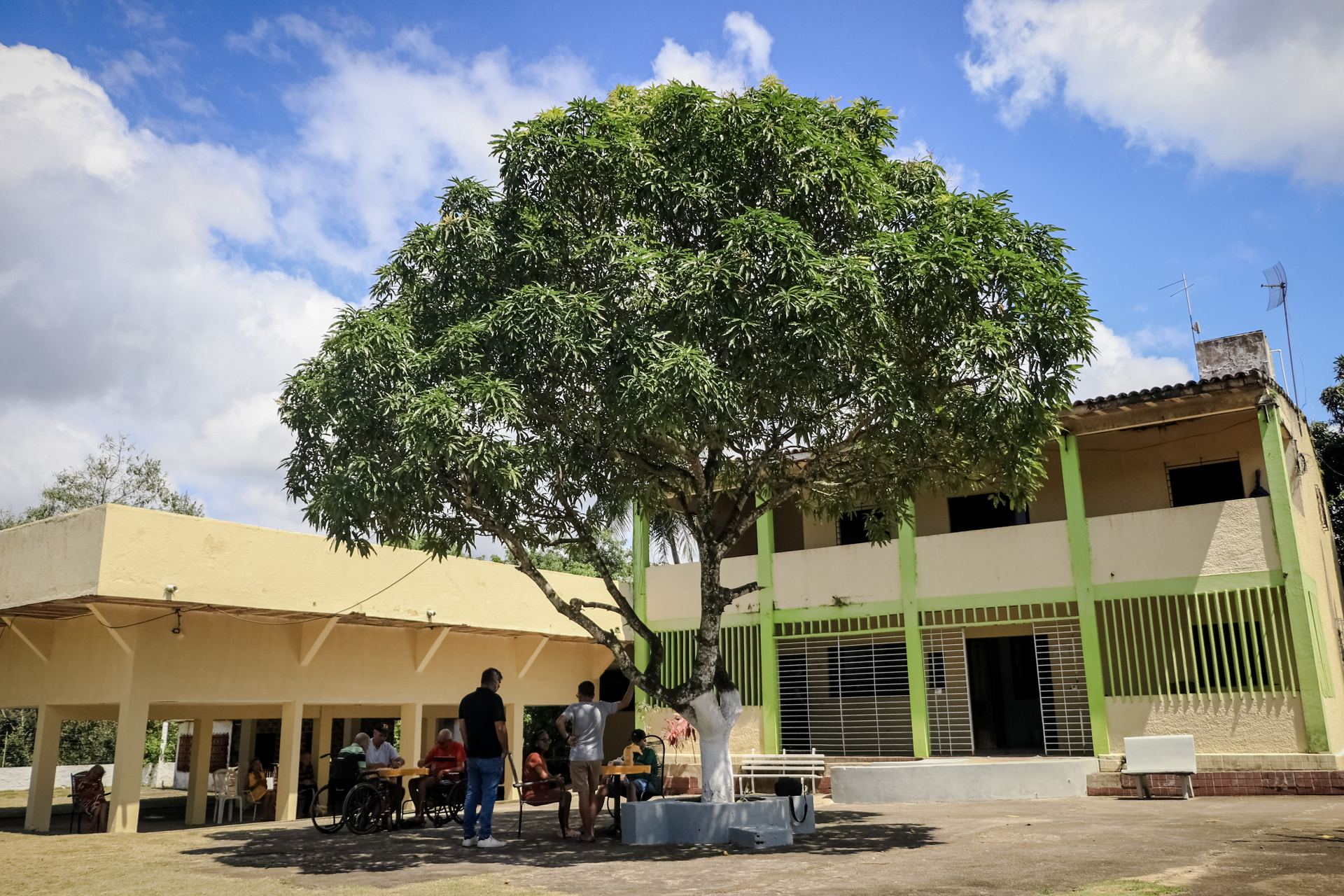 Fachada da Aquarela Pousada Geriátrica, com uma grande mangueira no pátio central